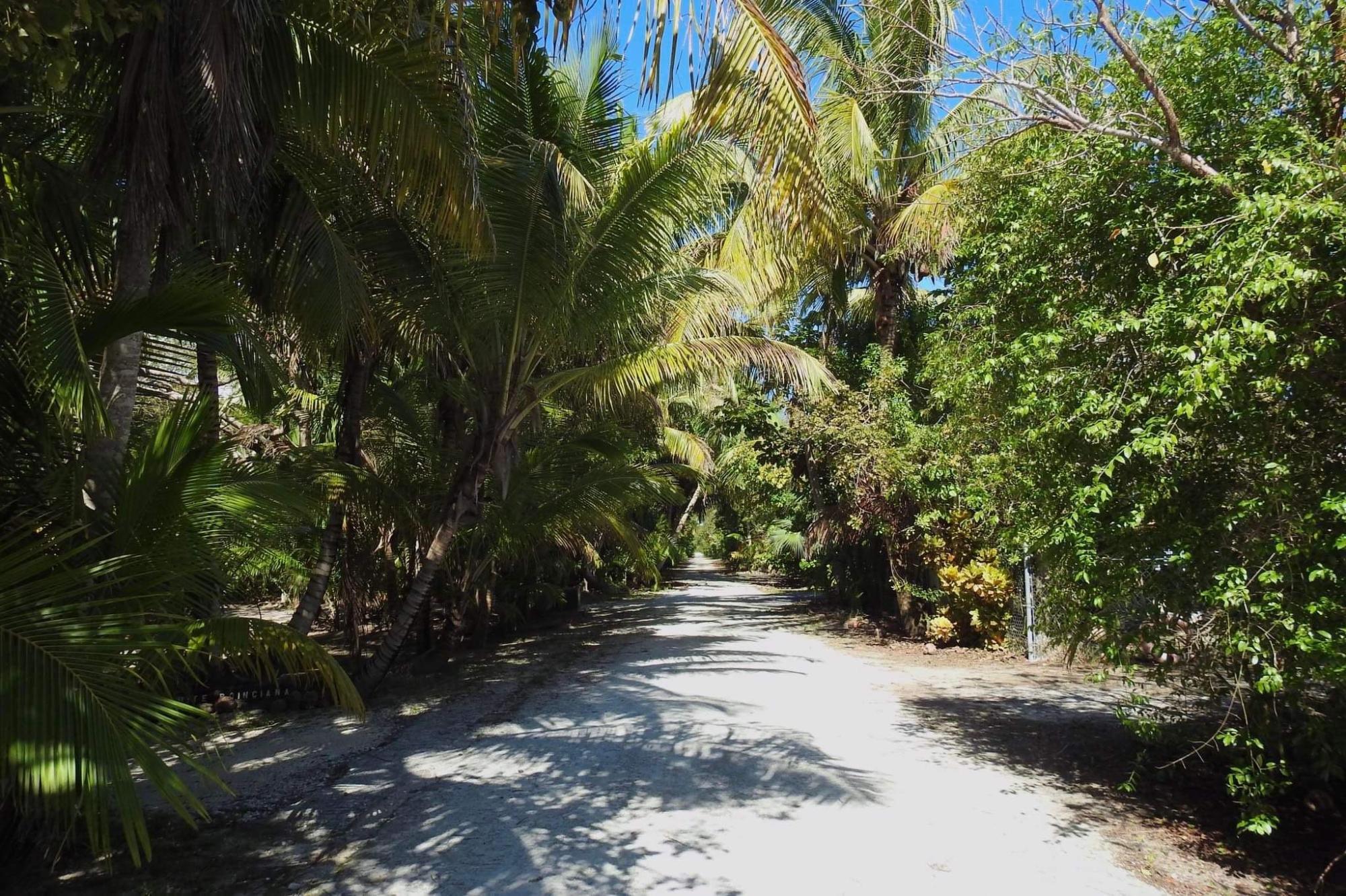 BAHAMA PALM SHORES