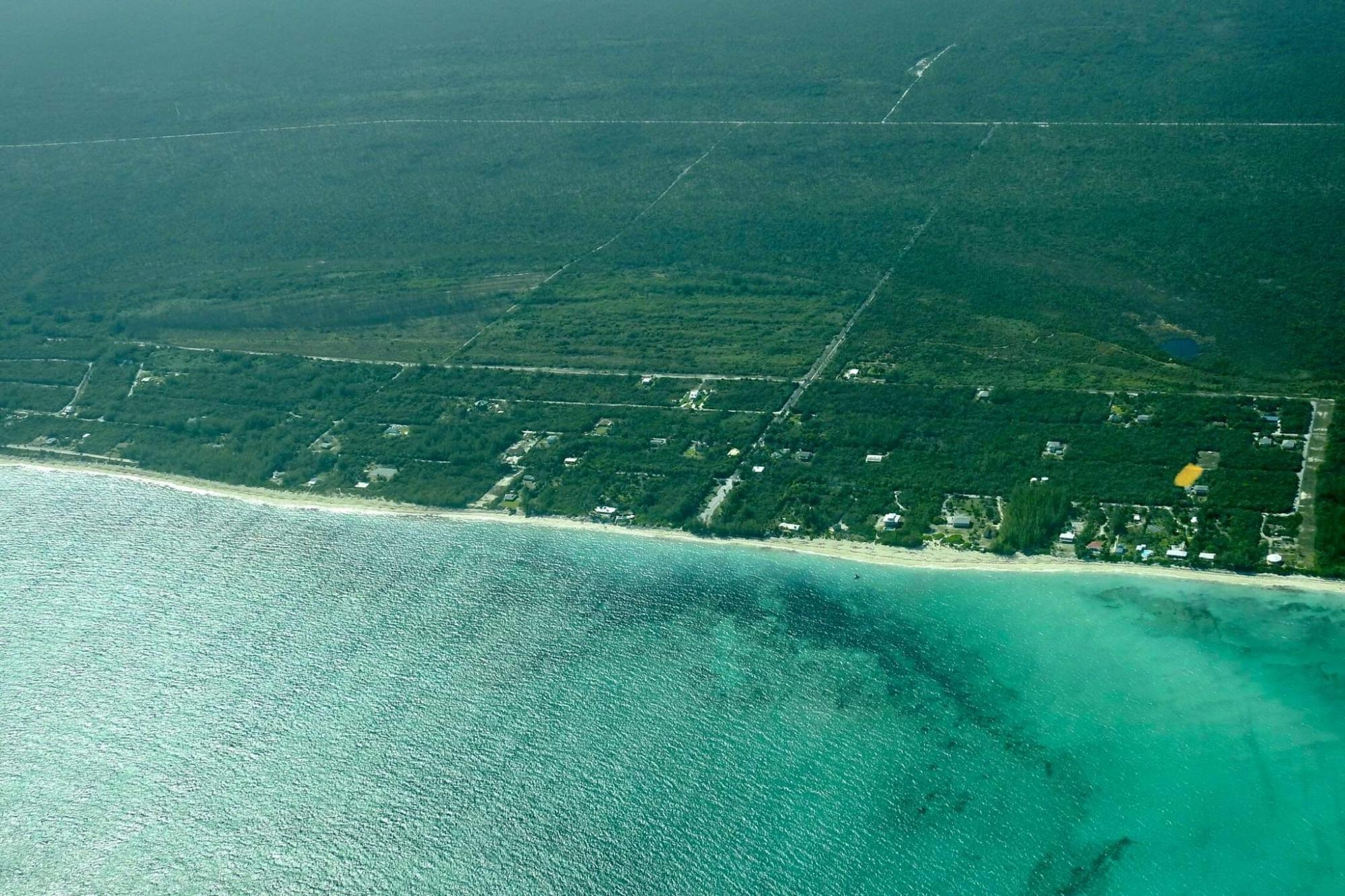 BAHAMA PALM SHORES