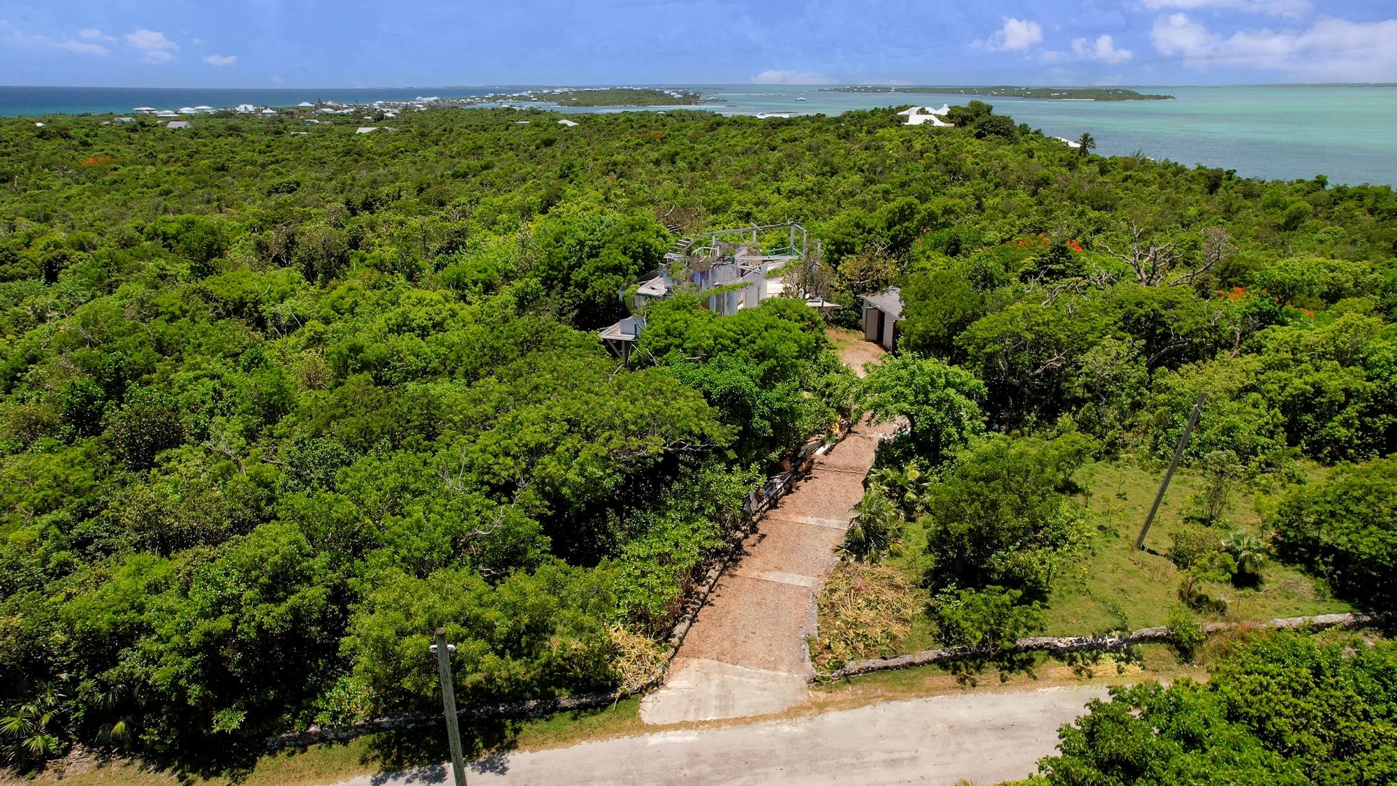 TREETOPS, LUCAYOS