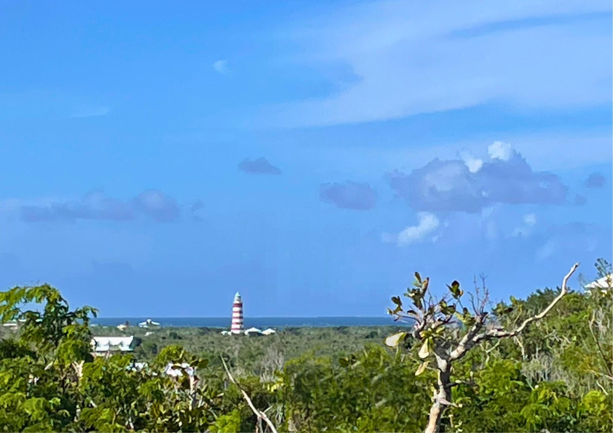 TREETOPS, LUCAYOS