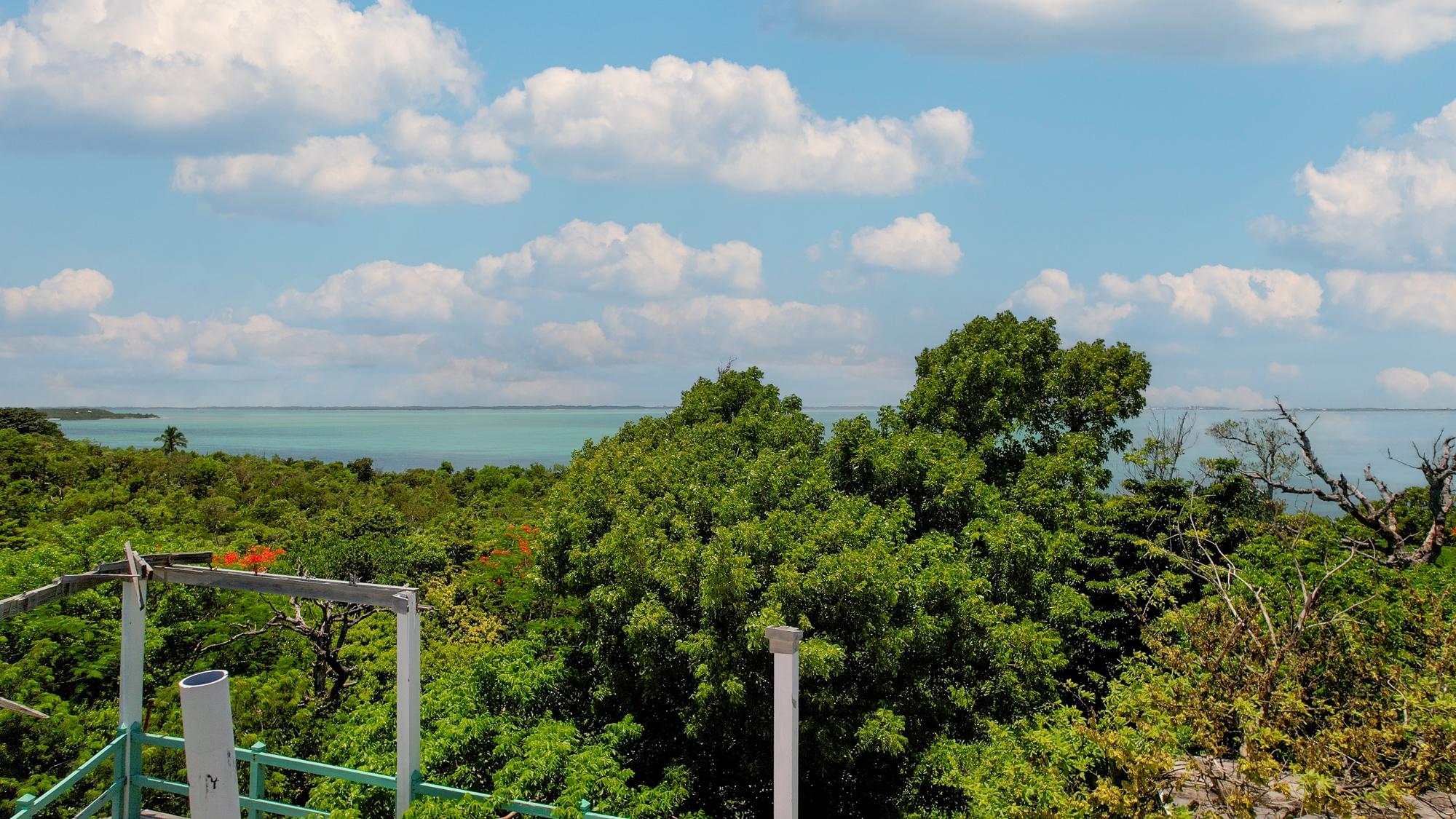 TREETOPS, LUCAYOS