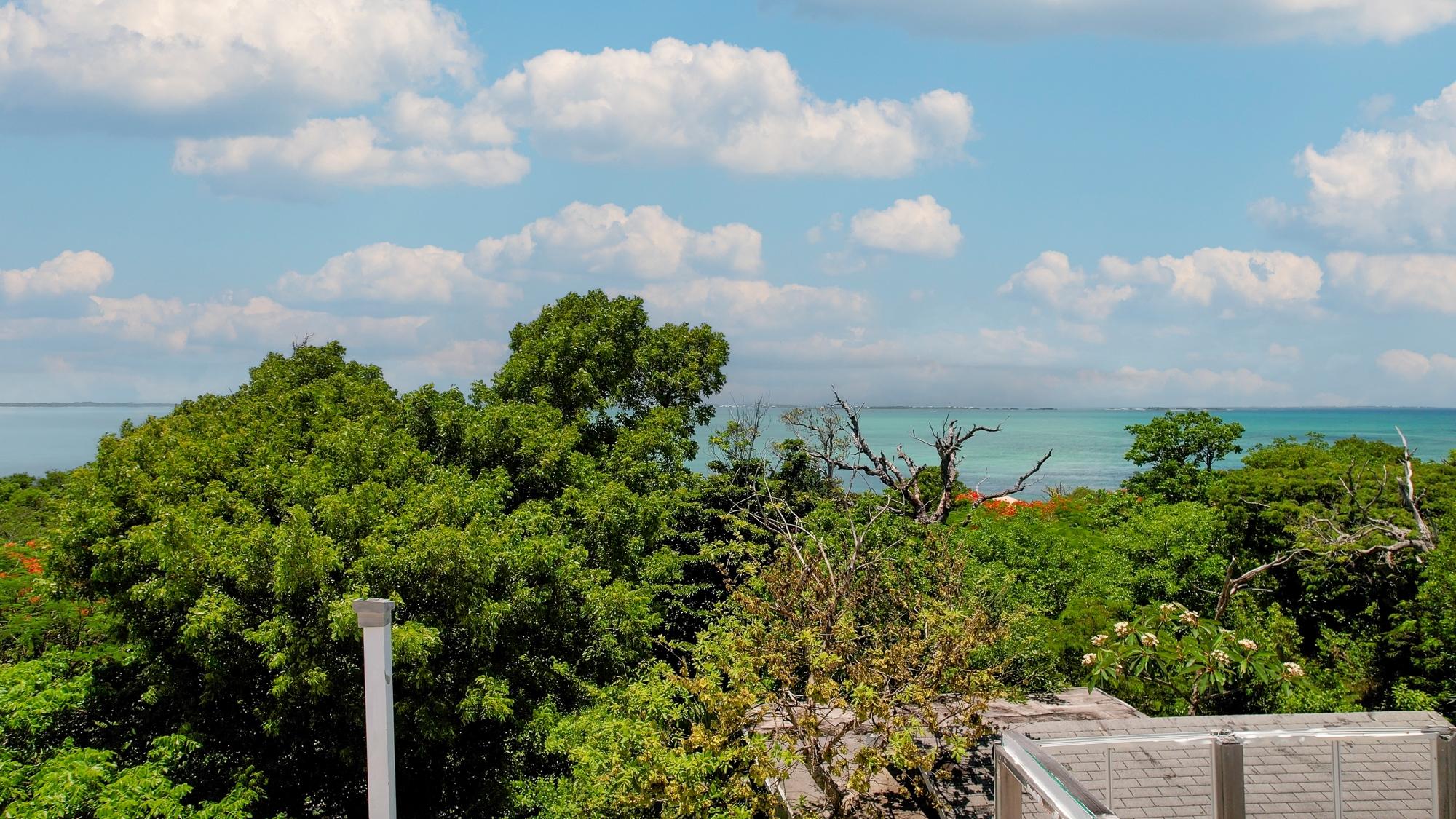 TREETOPS, LUCAYOS