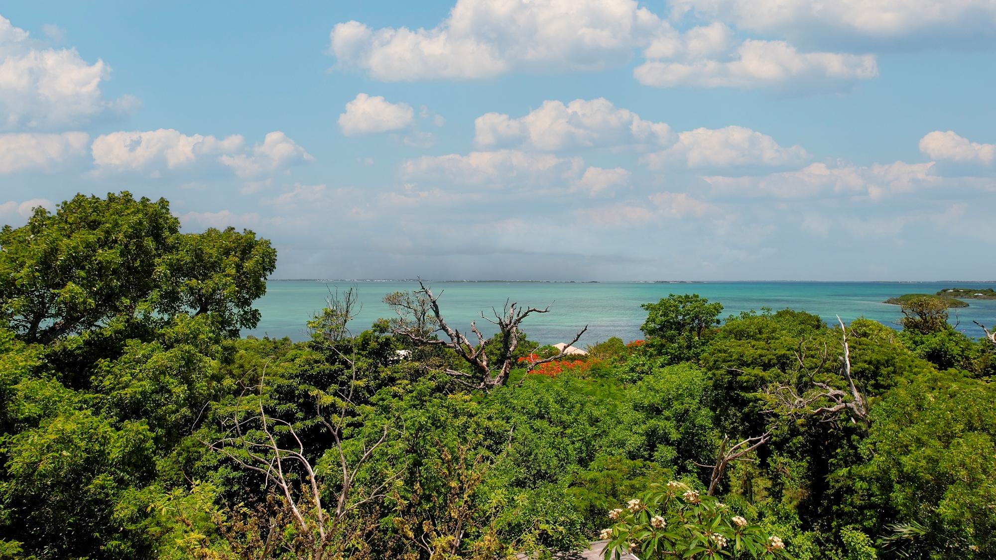 TREETOPS, LUCAYOS