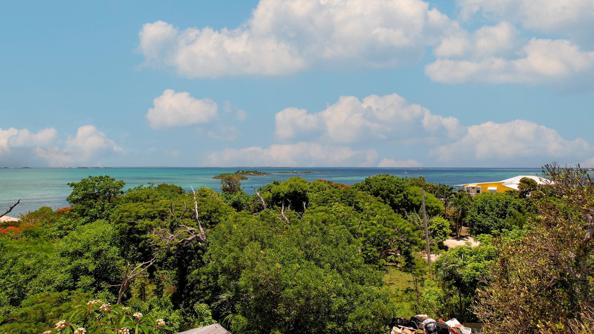 TREETOPS, LUCAYOS