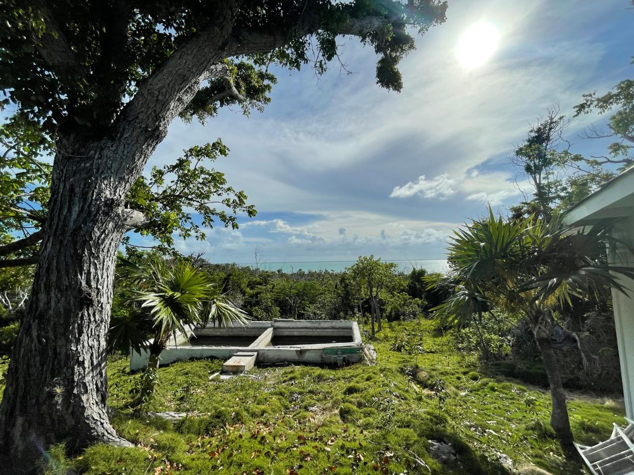 TREETOPS, LUCAYOS