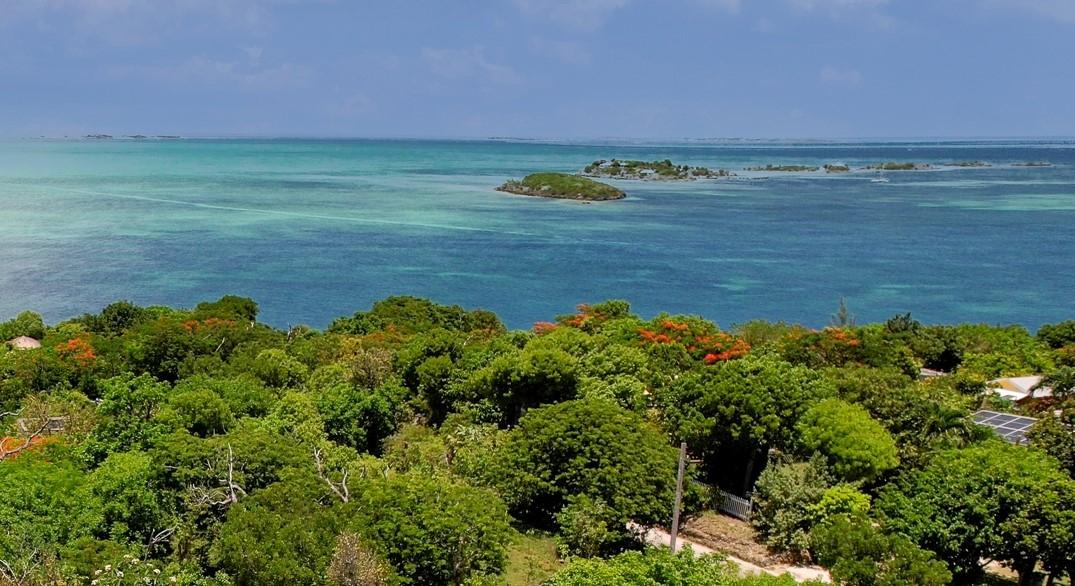 TREETOPS, LUCAYOS