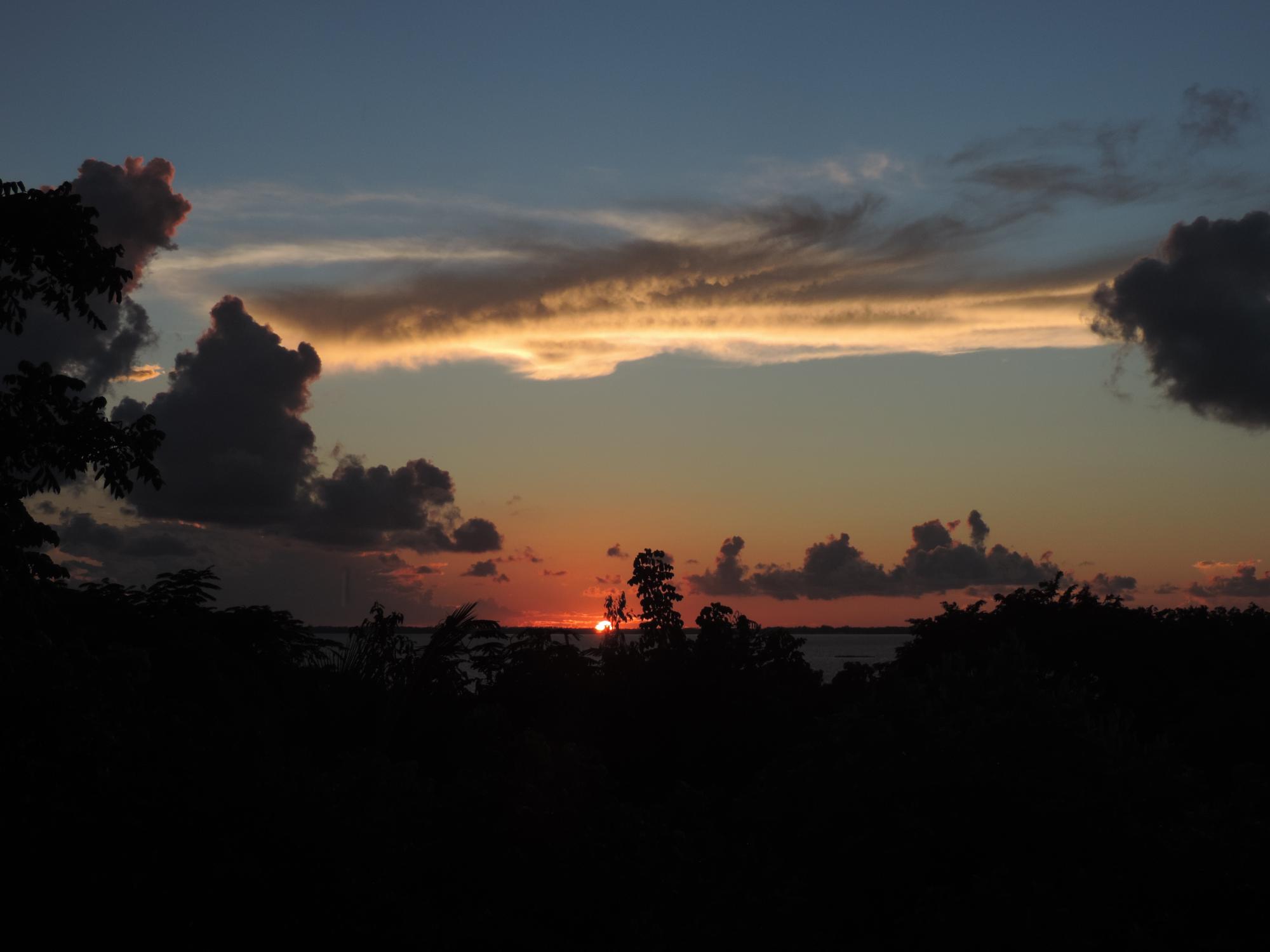 TREETOPS, LUCAYOS