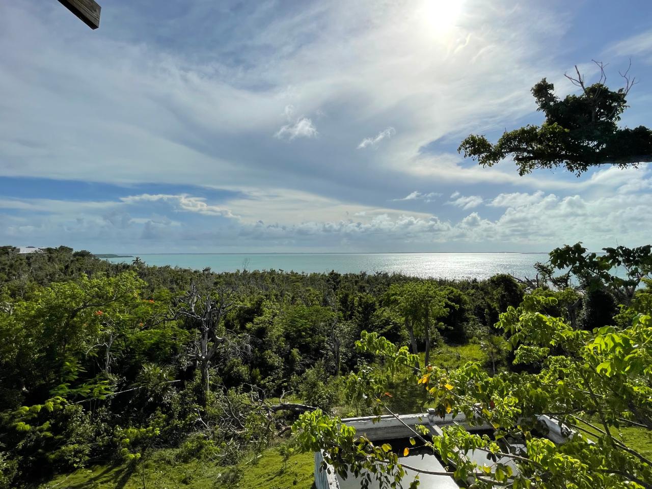 TREETOPS, LUCAYOS