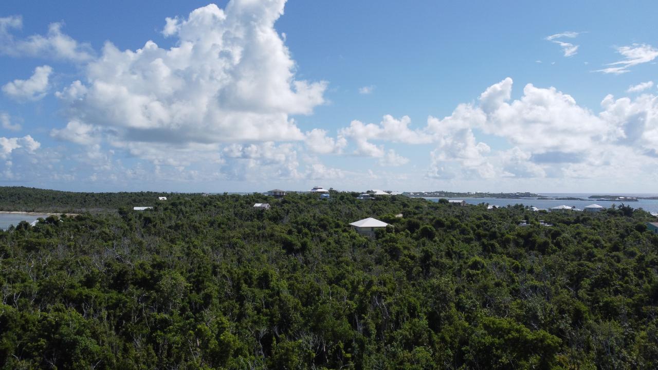 LOT 101 ABACO OCEAN CLUB