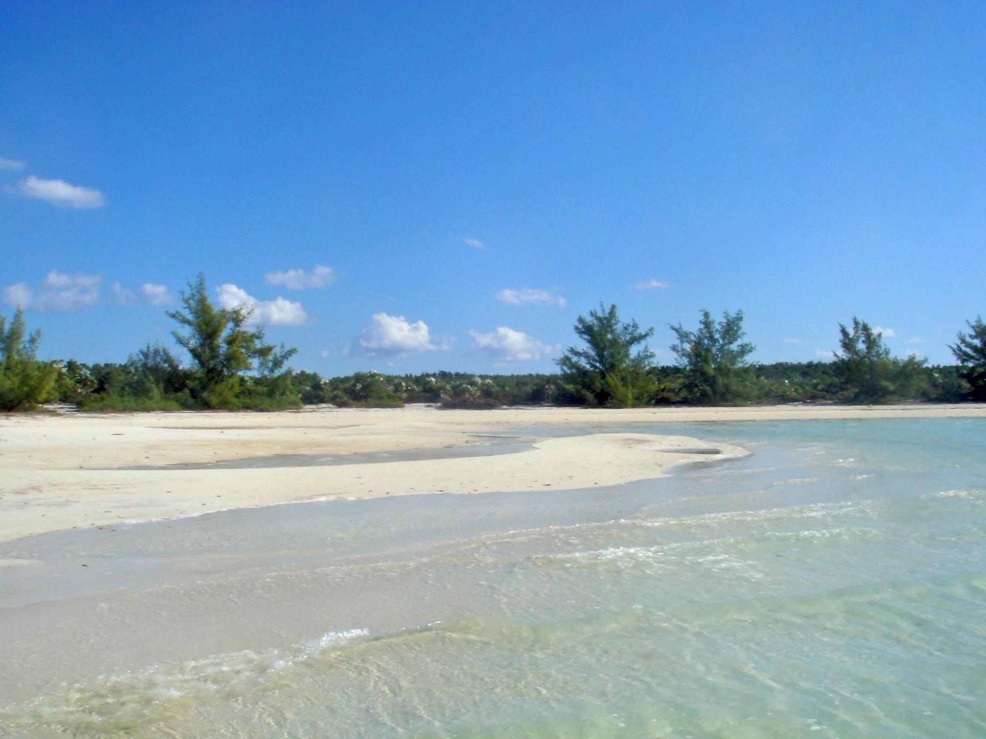 Whale Cay