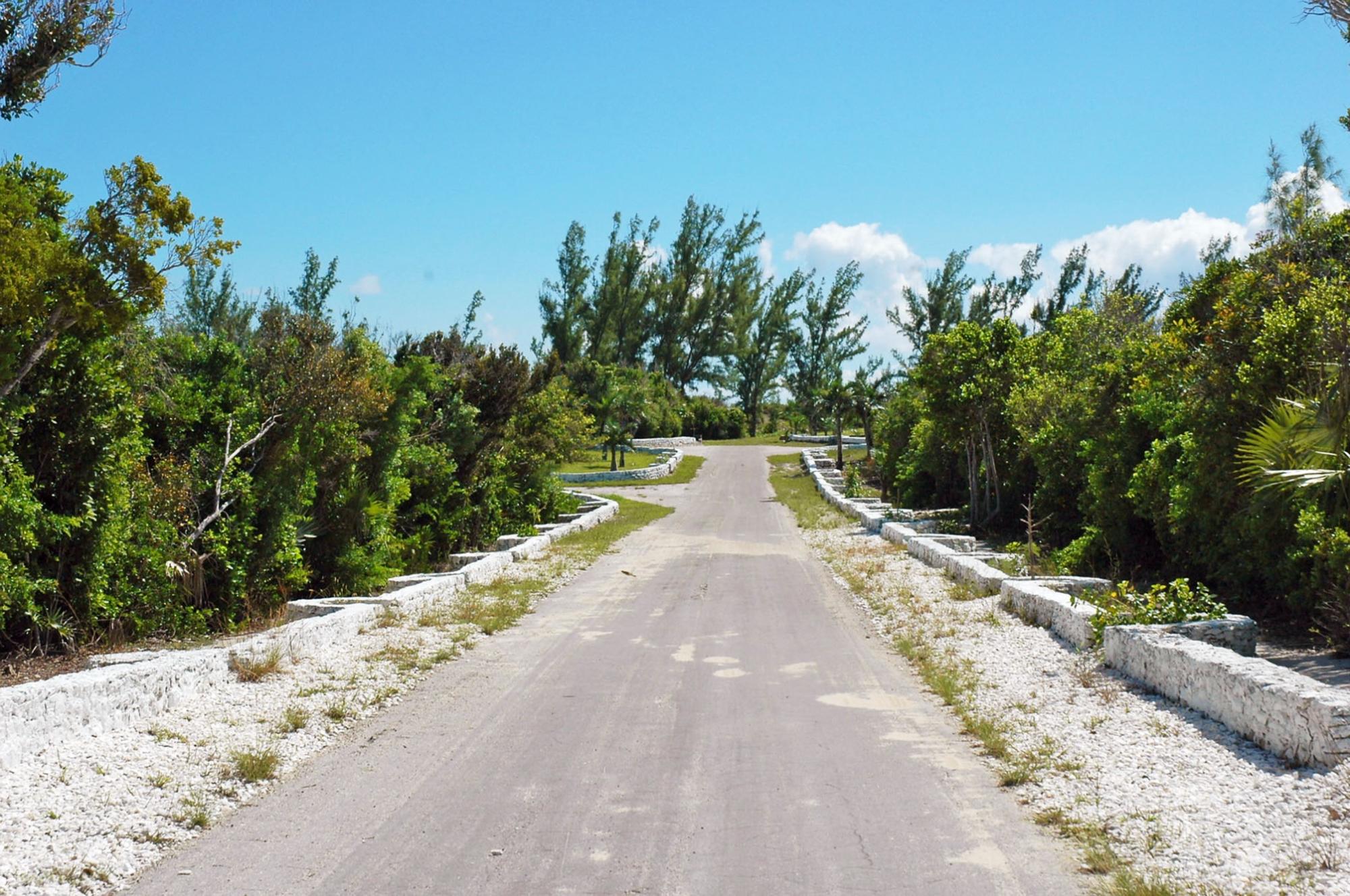 Whale Cay