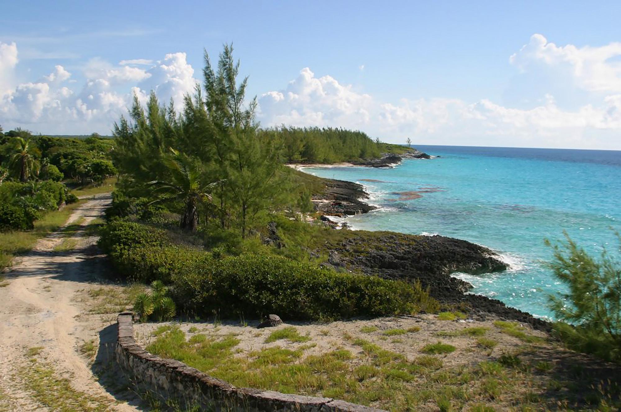 Whale Cay