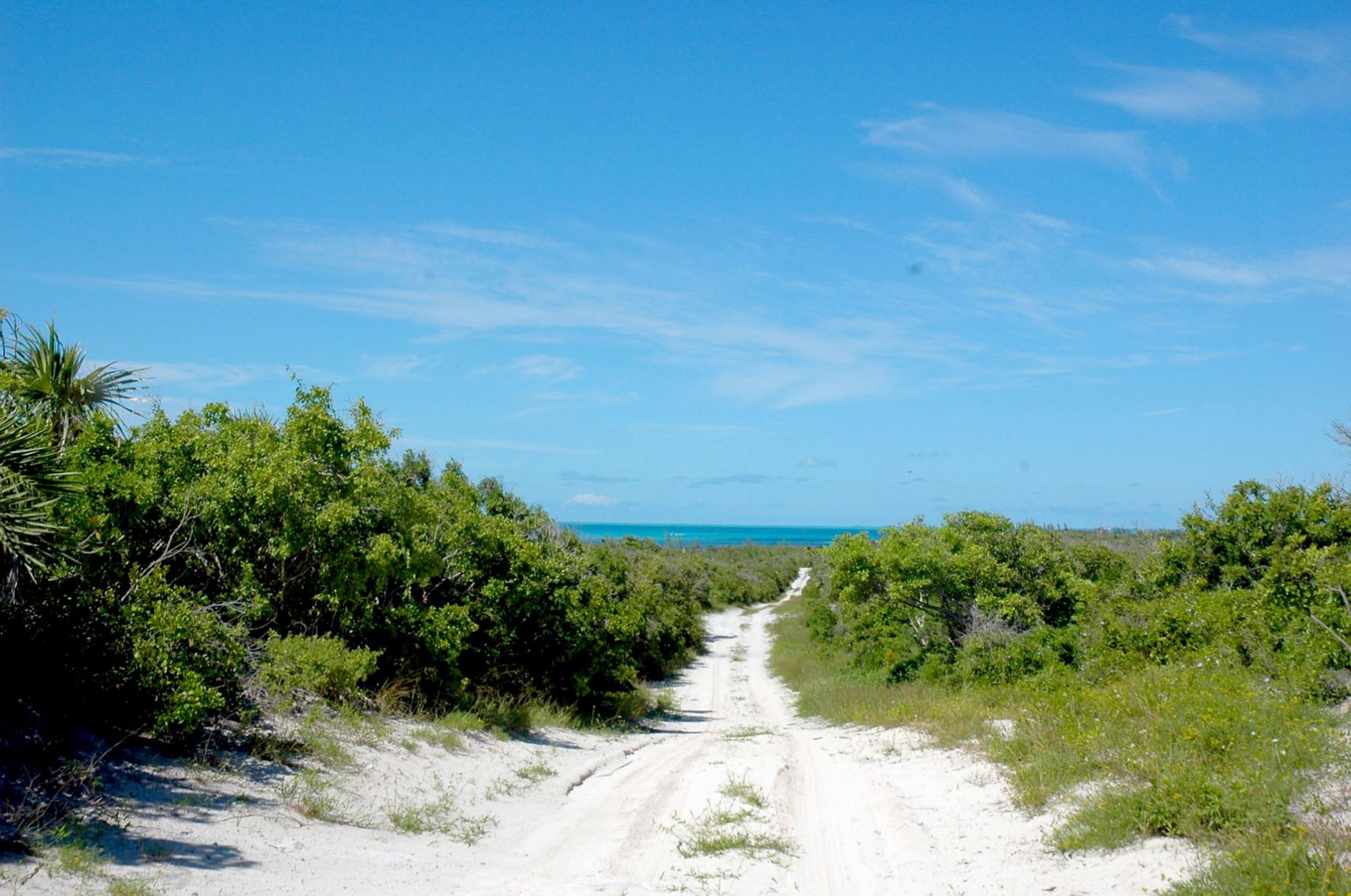 Whale Cay