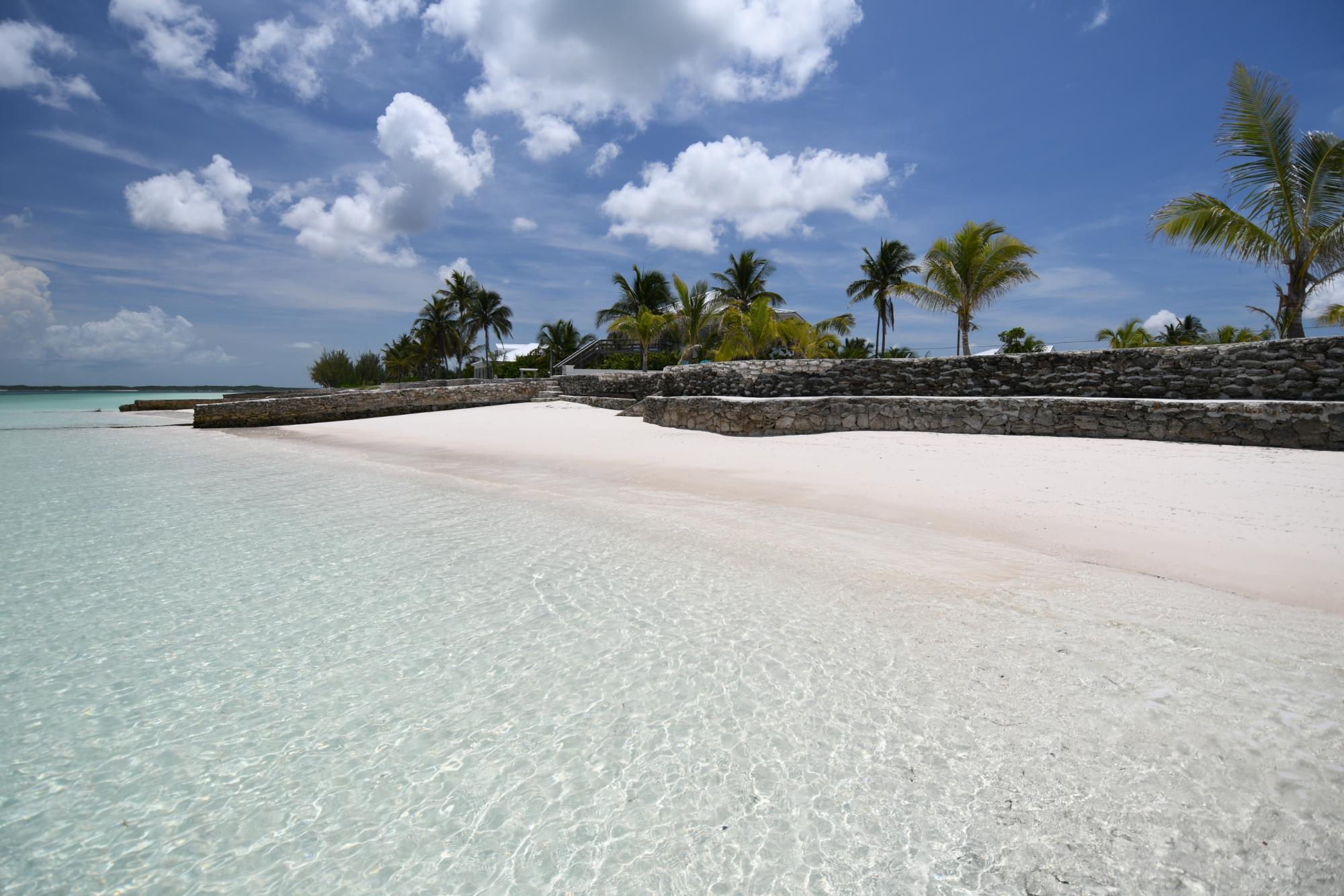 Windward Palms