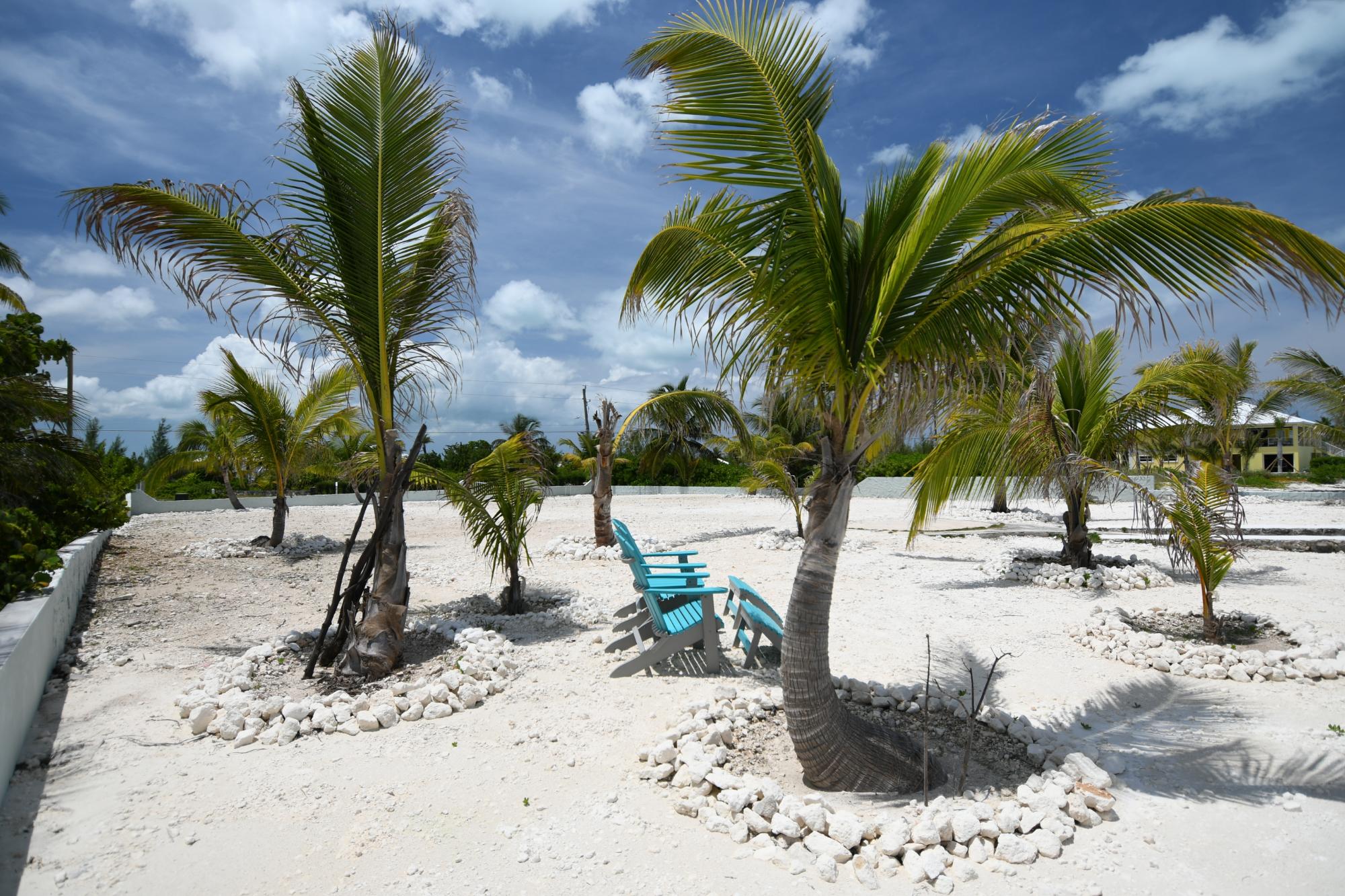 Windward Palms