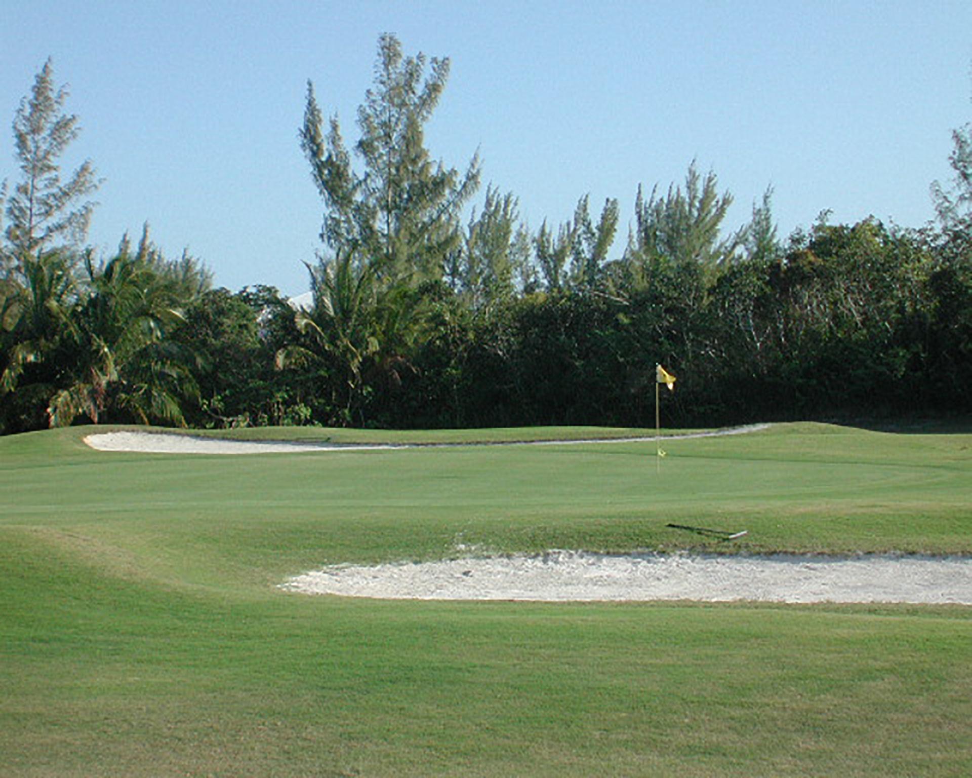 Windward Palms