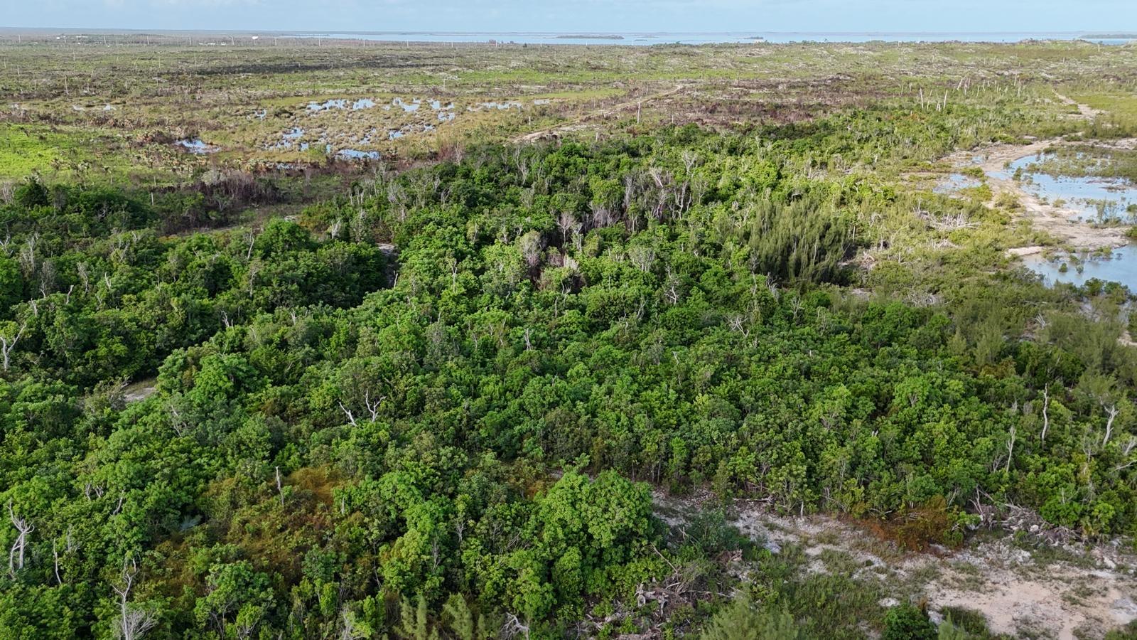 GREAT CISTERN POINT