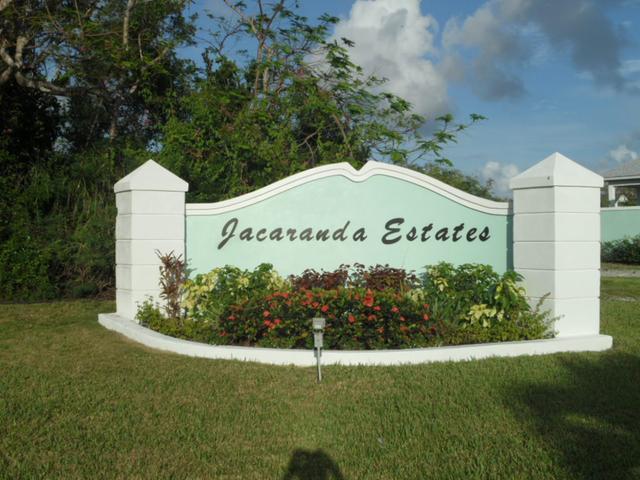 Jacaranda