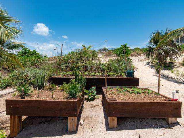 THE BEACH BUNGALOWS