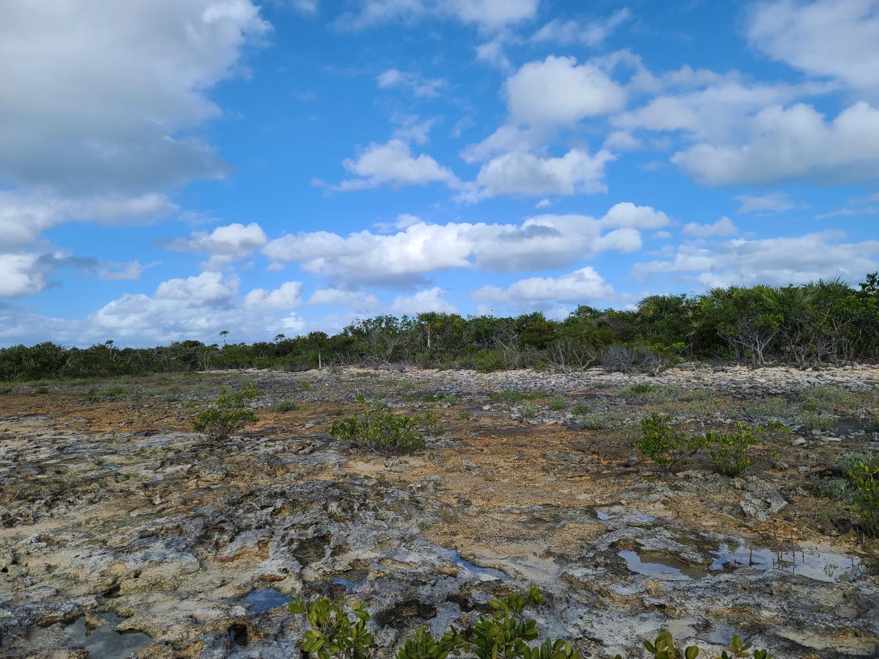 PIDGEON CAY