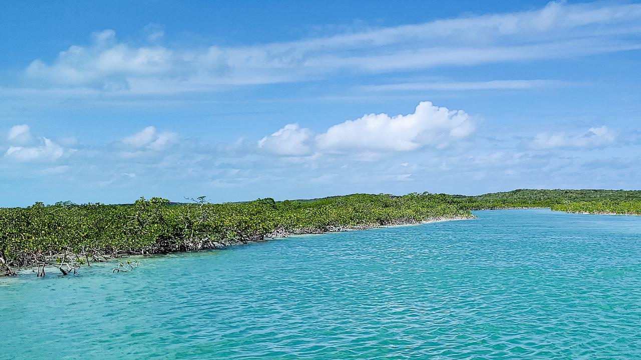 PIDGEON CAY