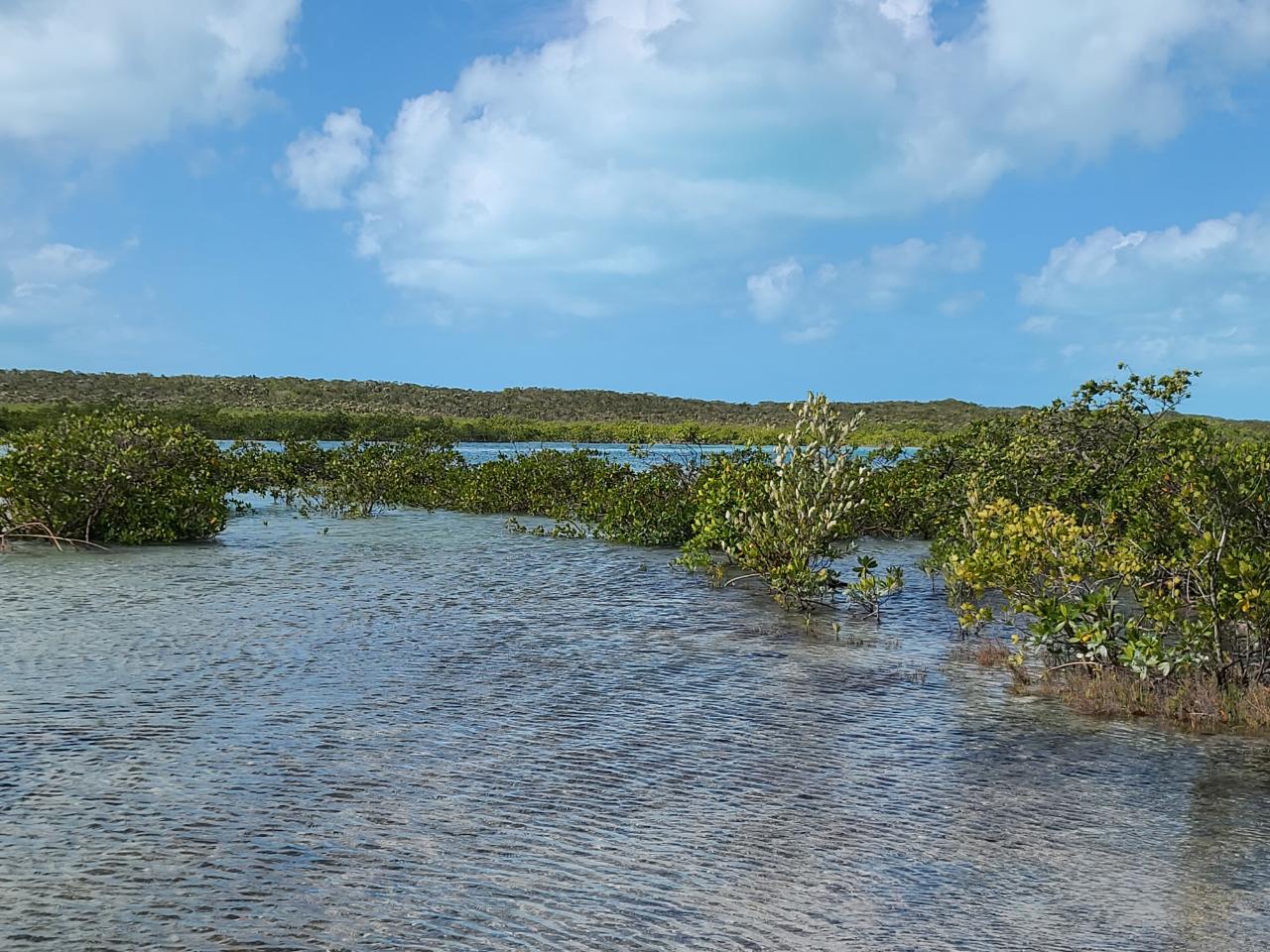 PIDGEON CAY