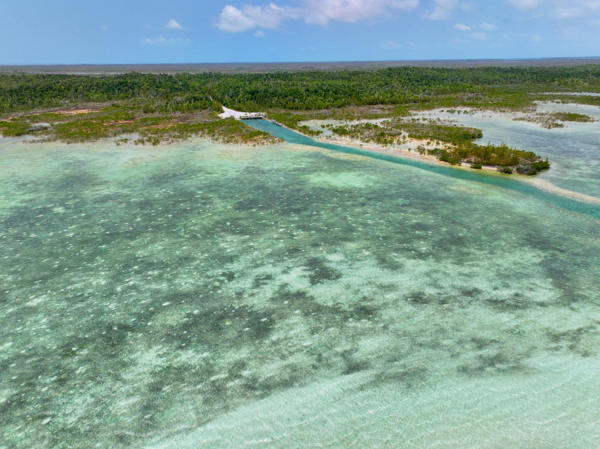 LOT 5 TURTLE COVE