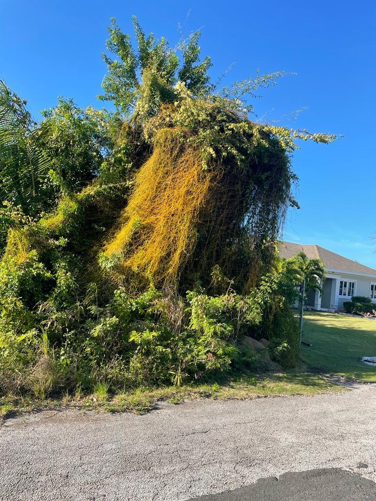 CULBERT’S HILL VACANT LOT