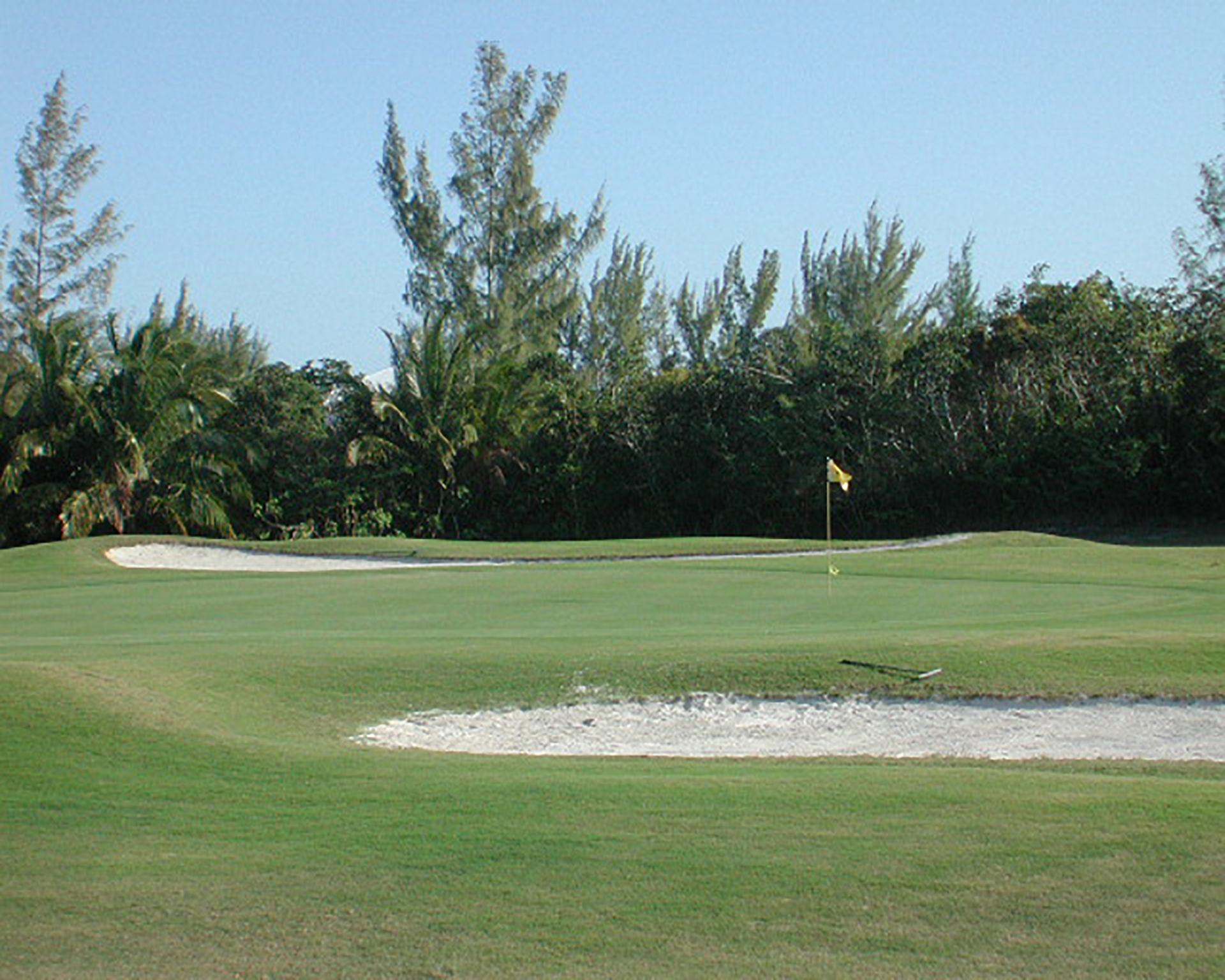 BAHAMA BEACH #2075