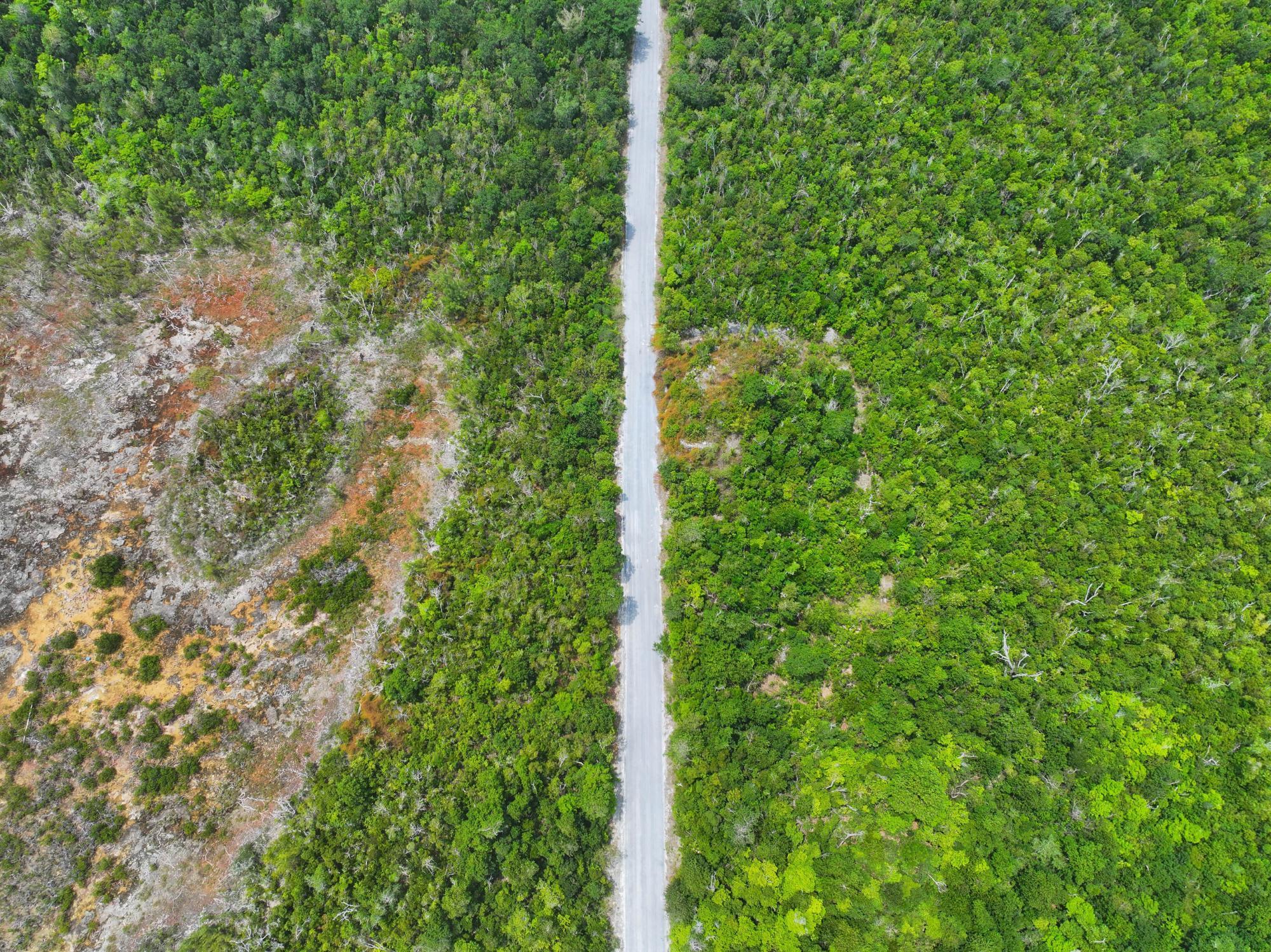 LOT 7 TURTLE COVE