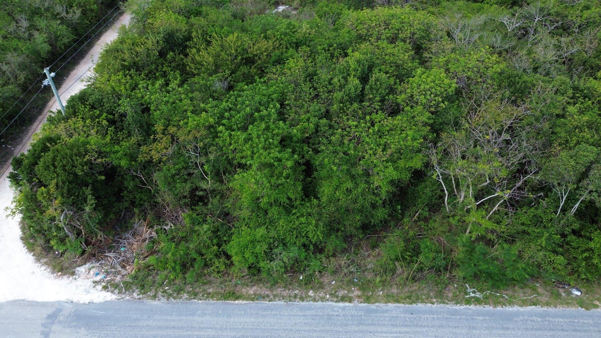 ELEUTHERA ISLAND SHORES