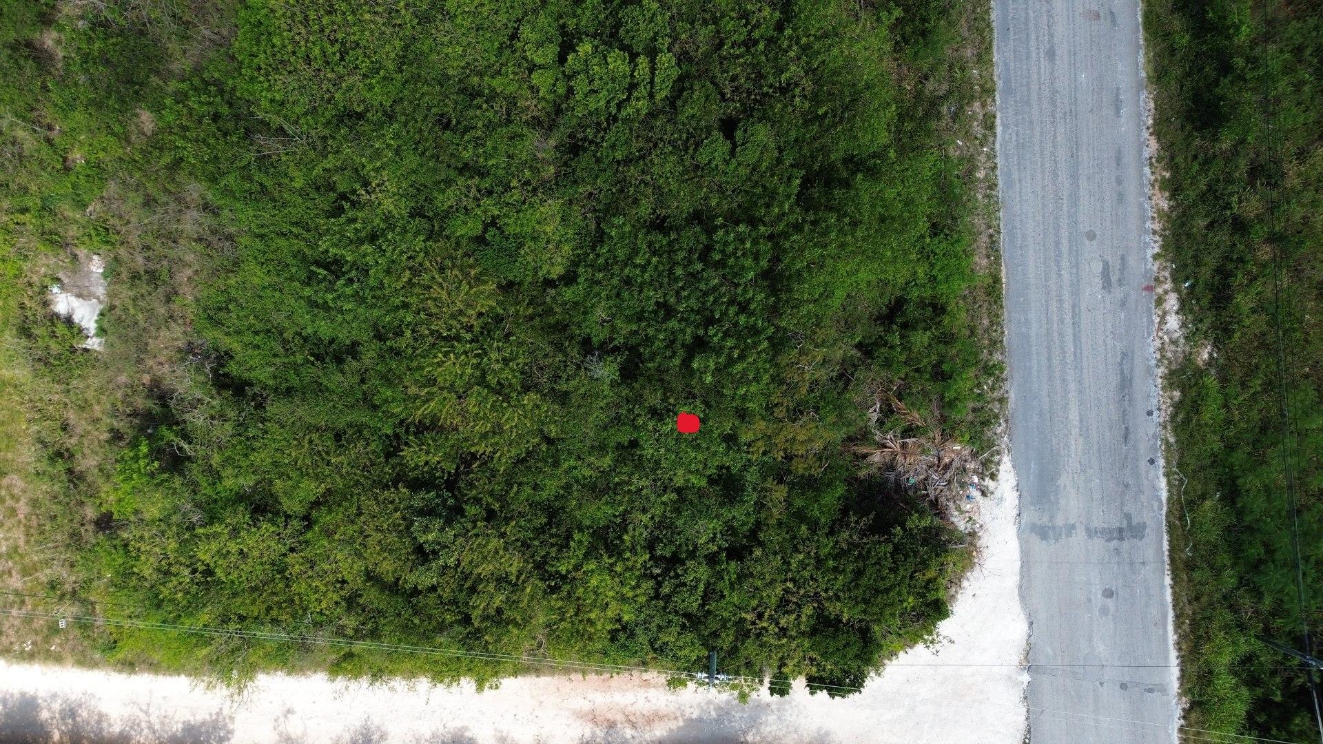 ELEUTHERA ISLAND SHORES