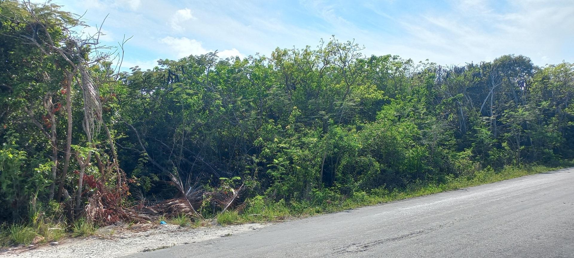 ELEUTHERA ISLAND SHORES