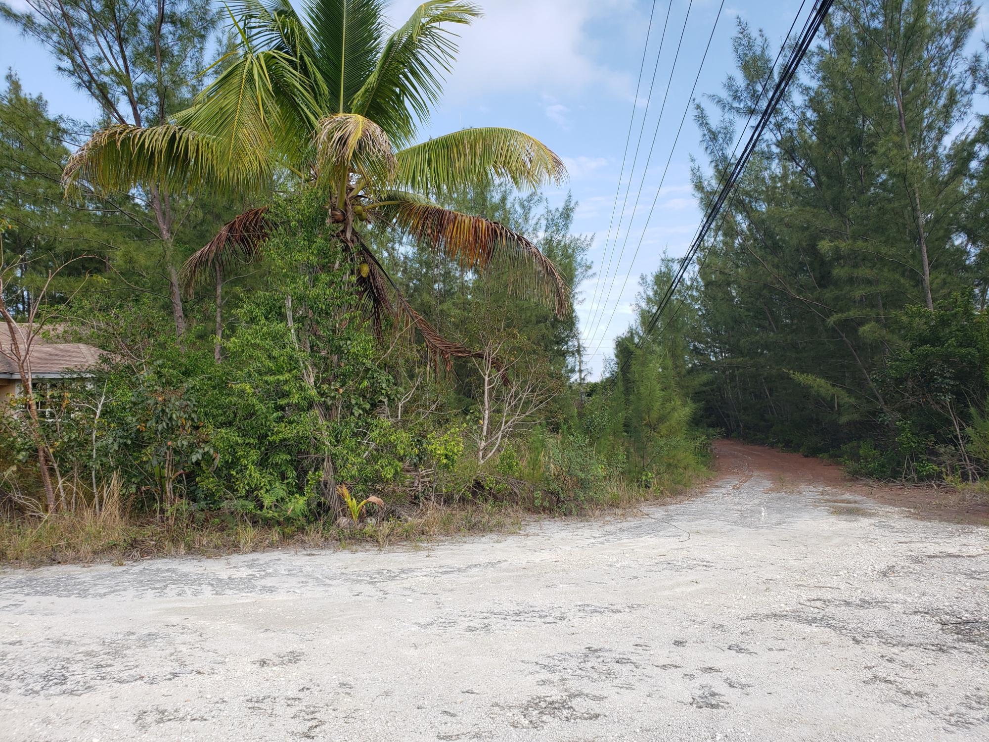 CASUARINA POINT