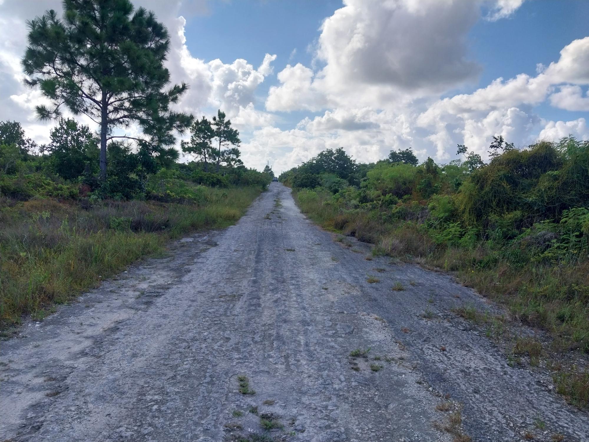 BARNETT AVENUE, HOLMES RO