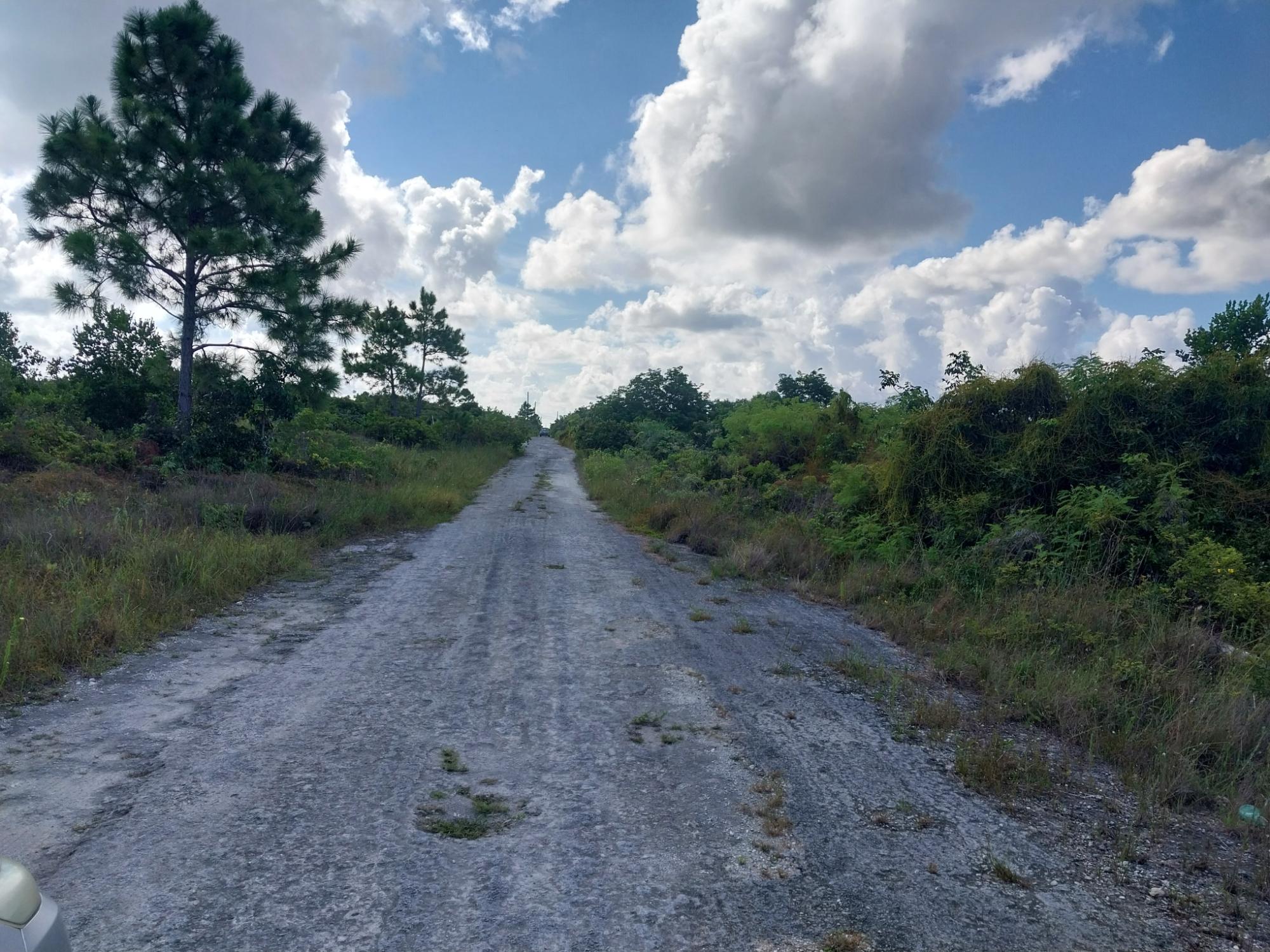 BARNETT AVENUE, HOLMES RO