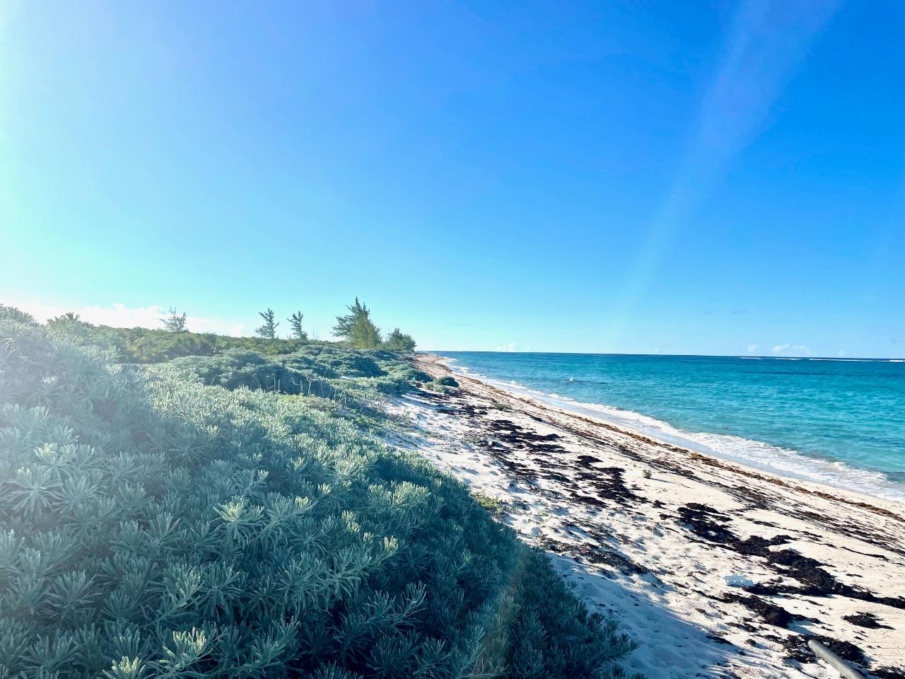 CAMPERDOWN BEACHFRONT LOT