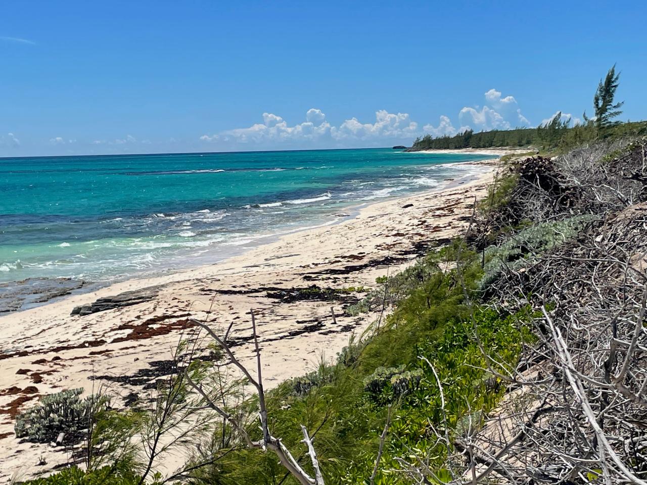 CAMPERDOWN BEACHFRONT LOT