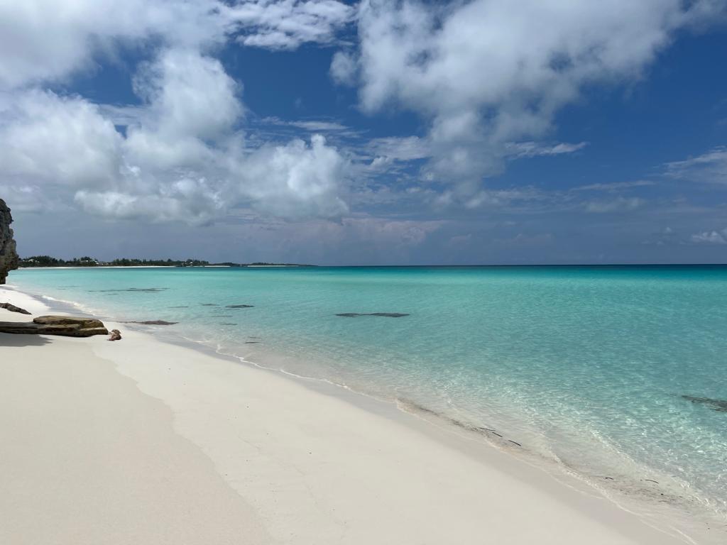 Beach Front Property