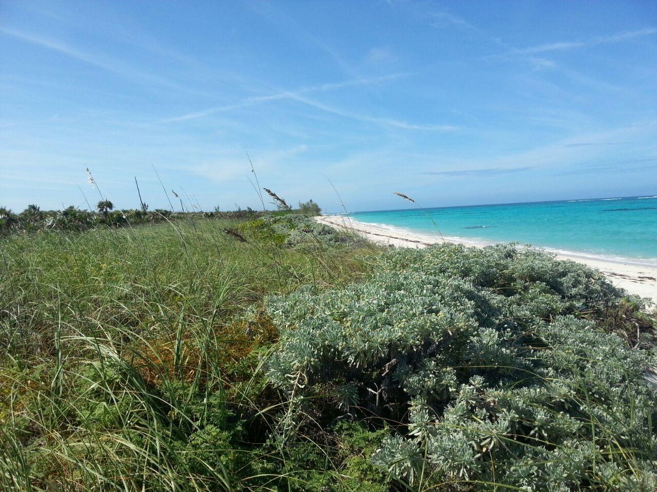 CAMPERDOWN BEACH