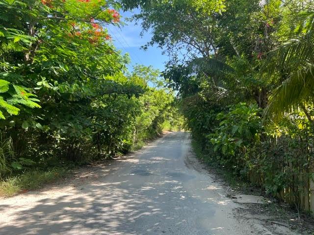 Harbour Island Lot