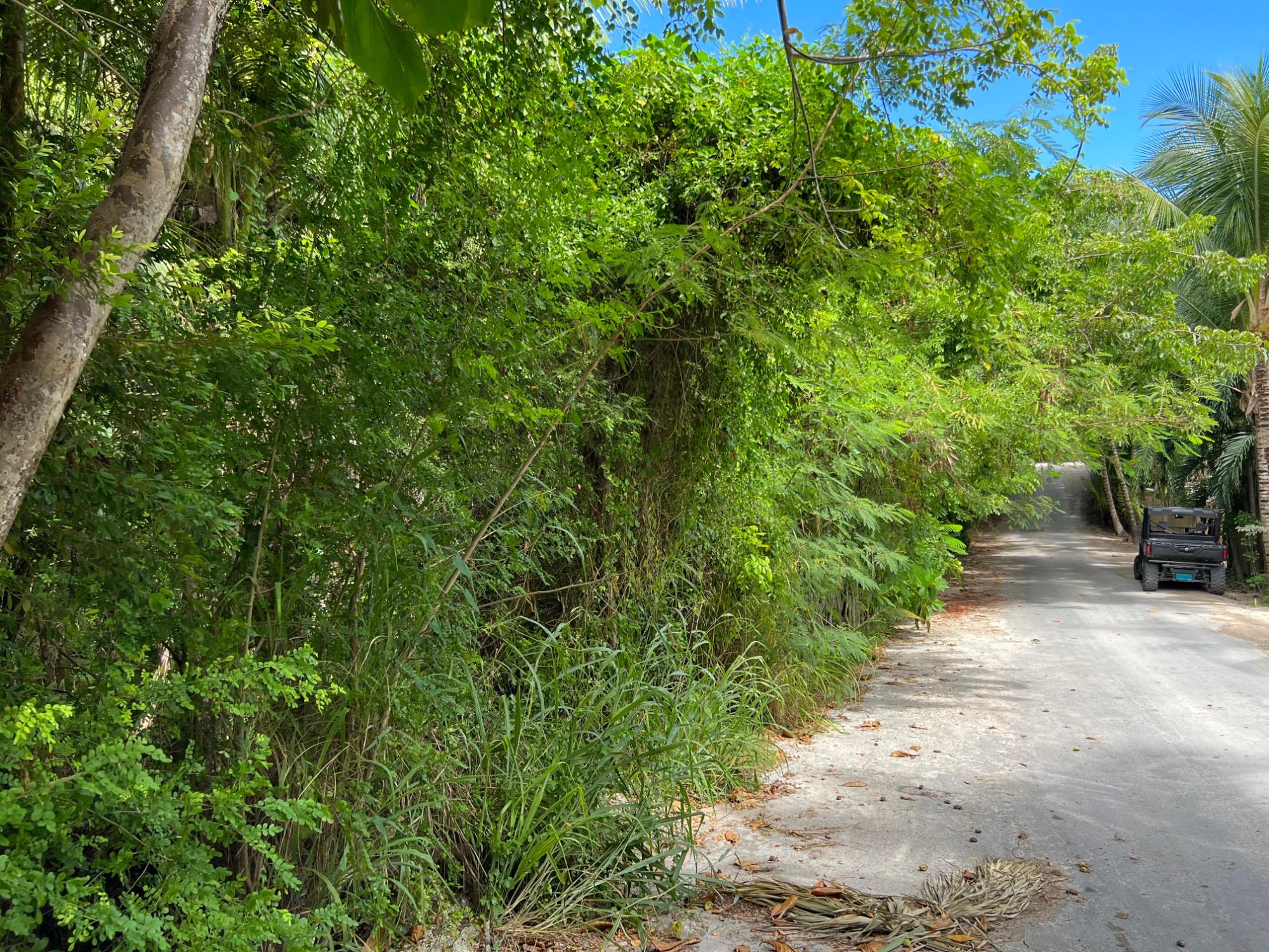 Harbour Island Lot