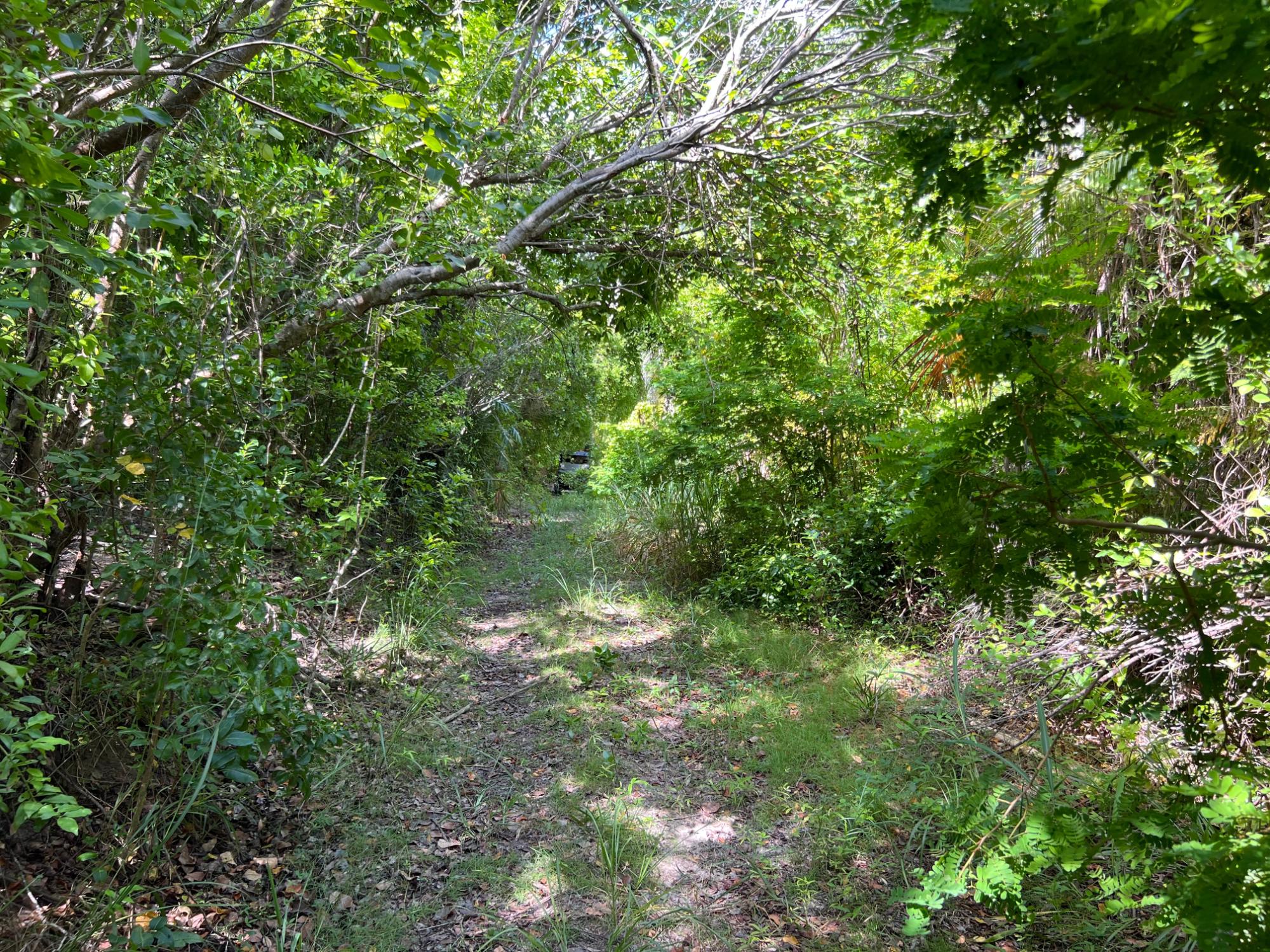 Harbour Island Lot