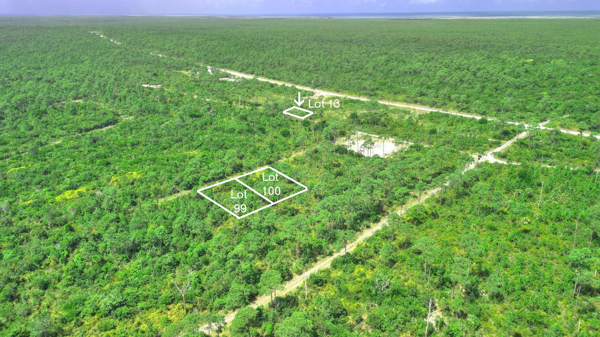 3 LOTS PINEHURST BAH PALM