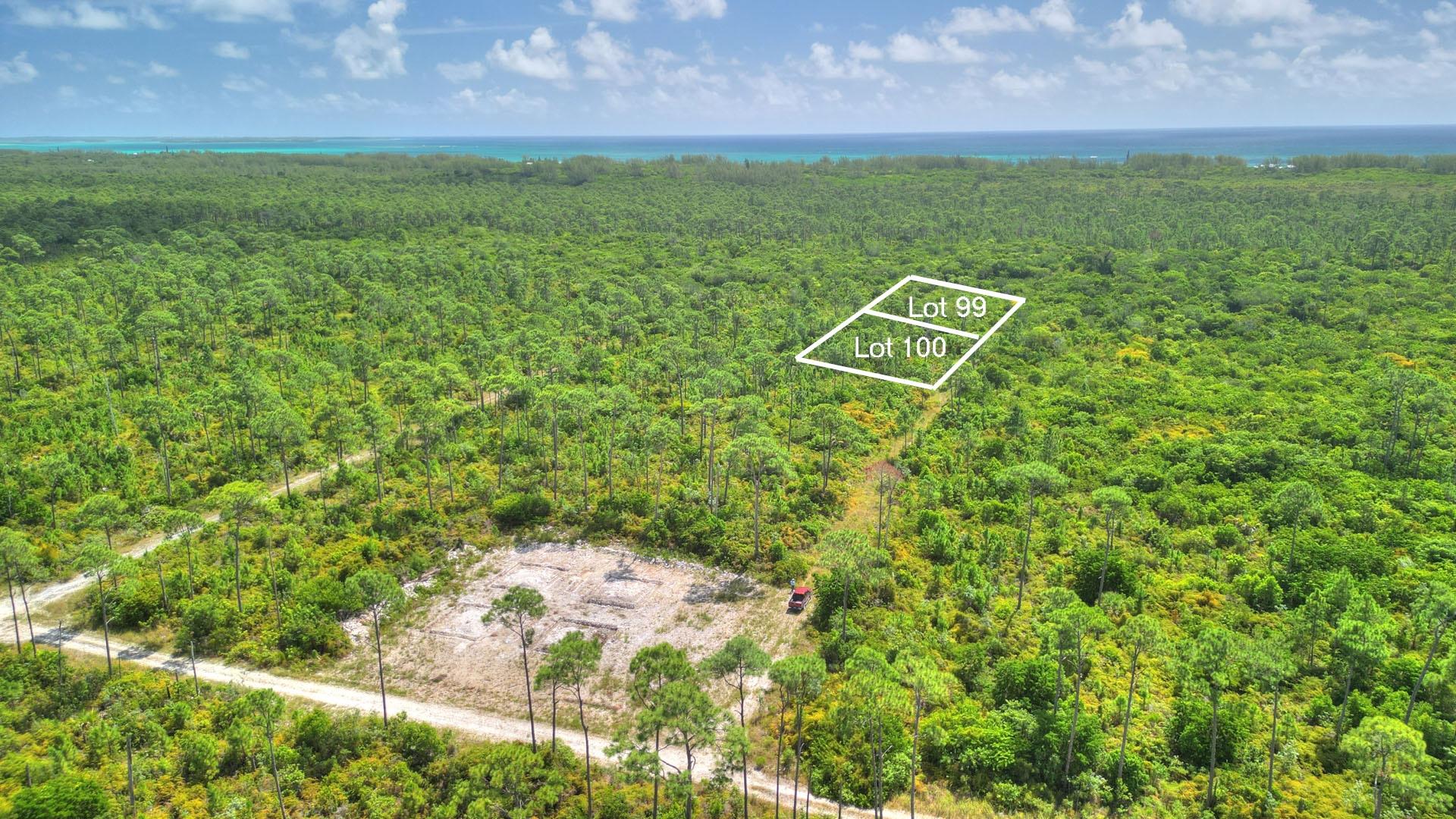 3 LOTS PINEHURST BAH PALM