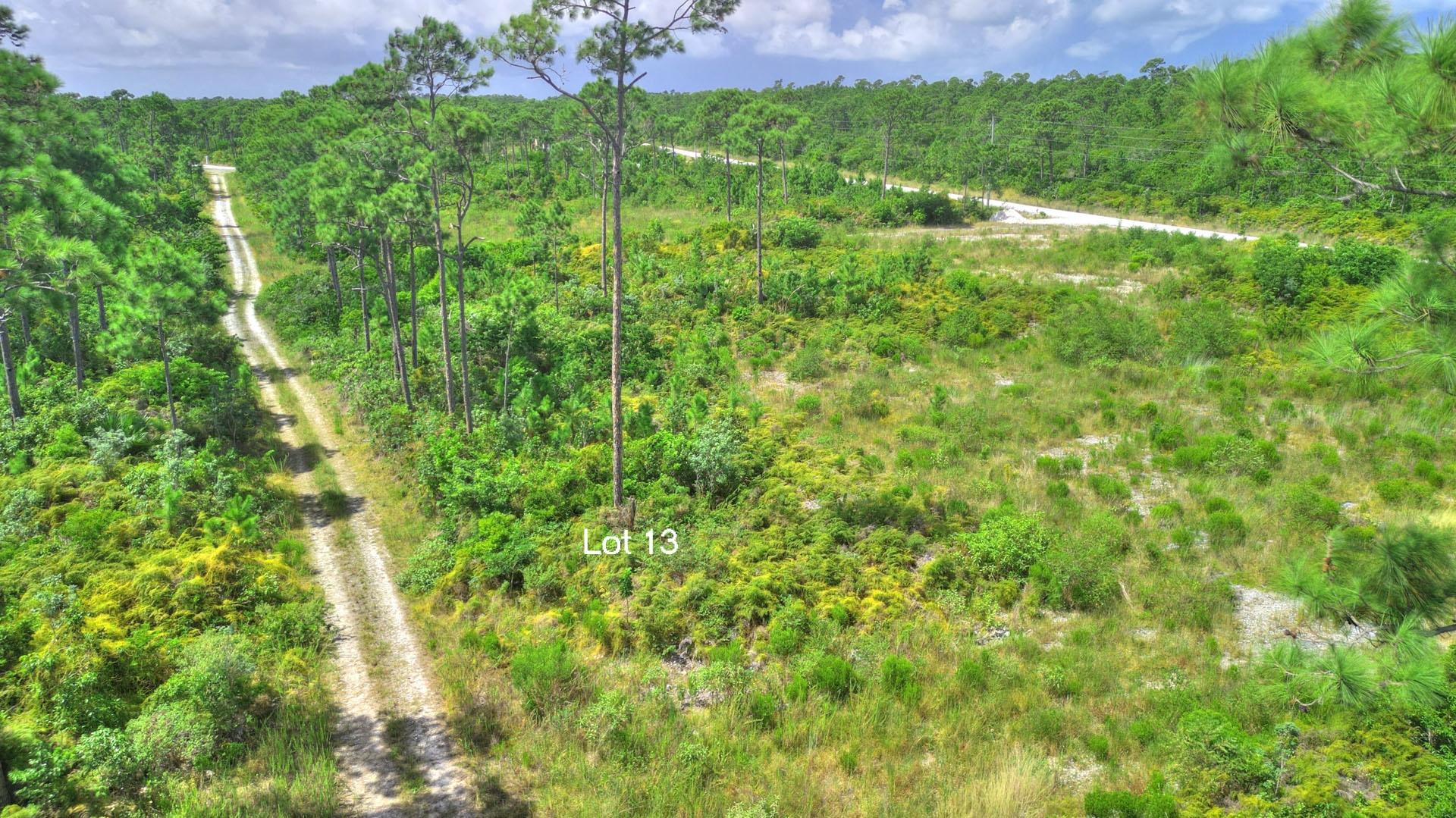 3 LOTS PINEHURST BAH PALM