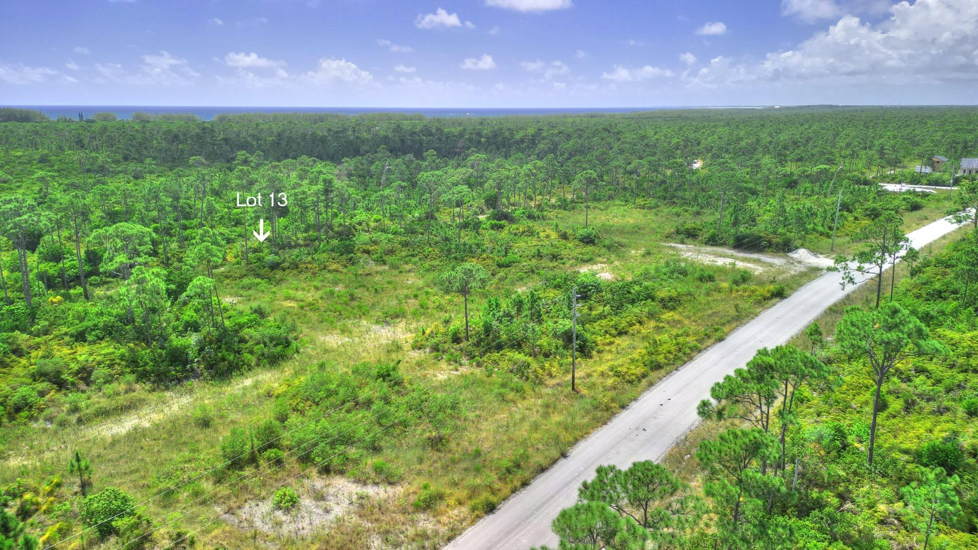 3 LOTS PINEHURST BAH PALM