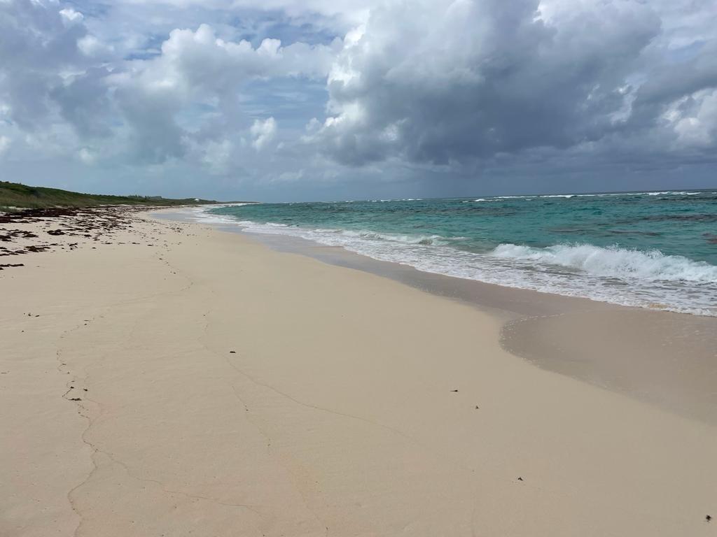 Beach Front