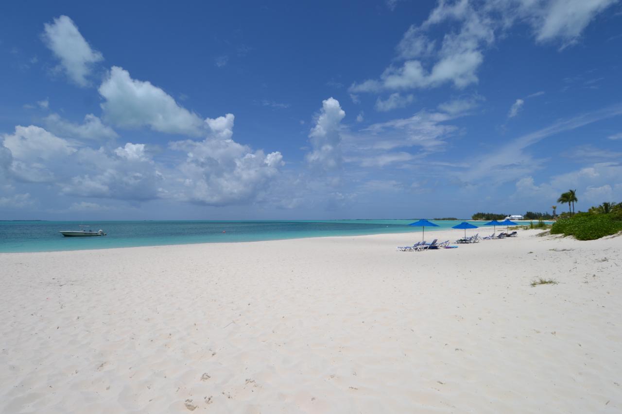 Bahama Beach # 2078