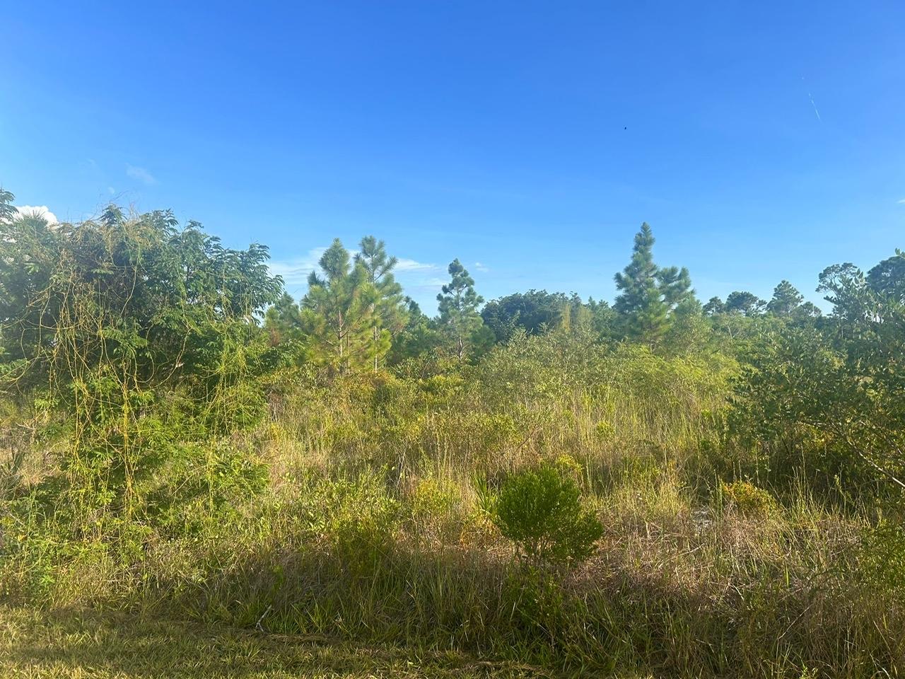 Tradewinds Drive lot